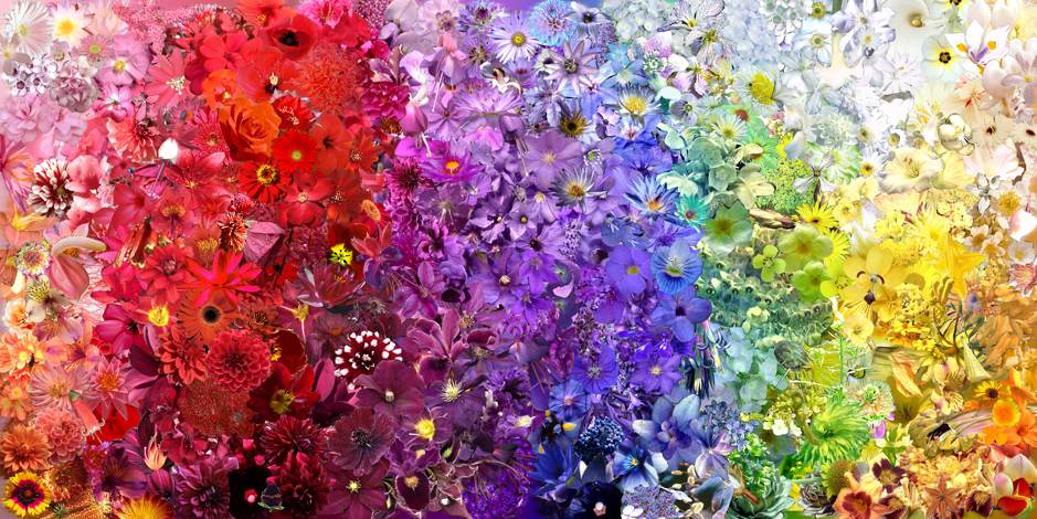 vpm_colors