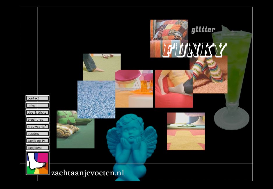 zachtaanjevoeten02.jpg